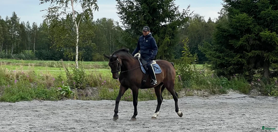 Galleribild {{count}}