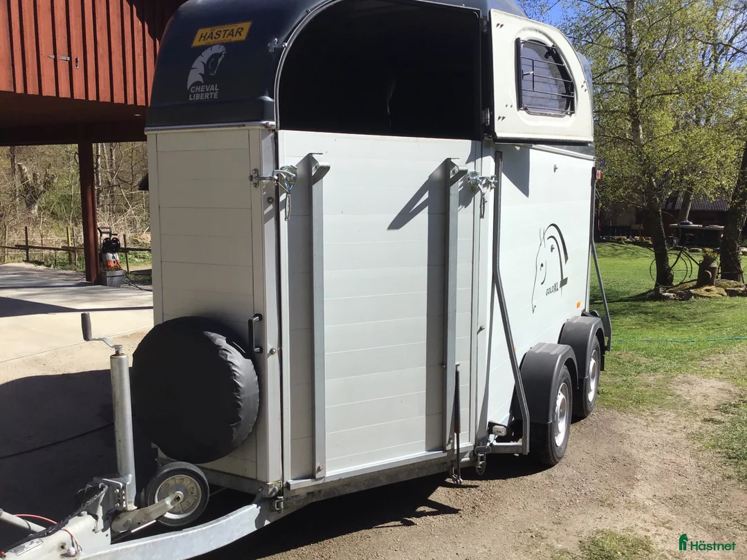 Hästtransporter  fordon & transport till salu: Rymlig och stabil transport - Annons 2
