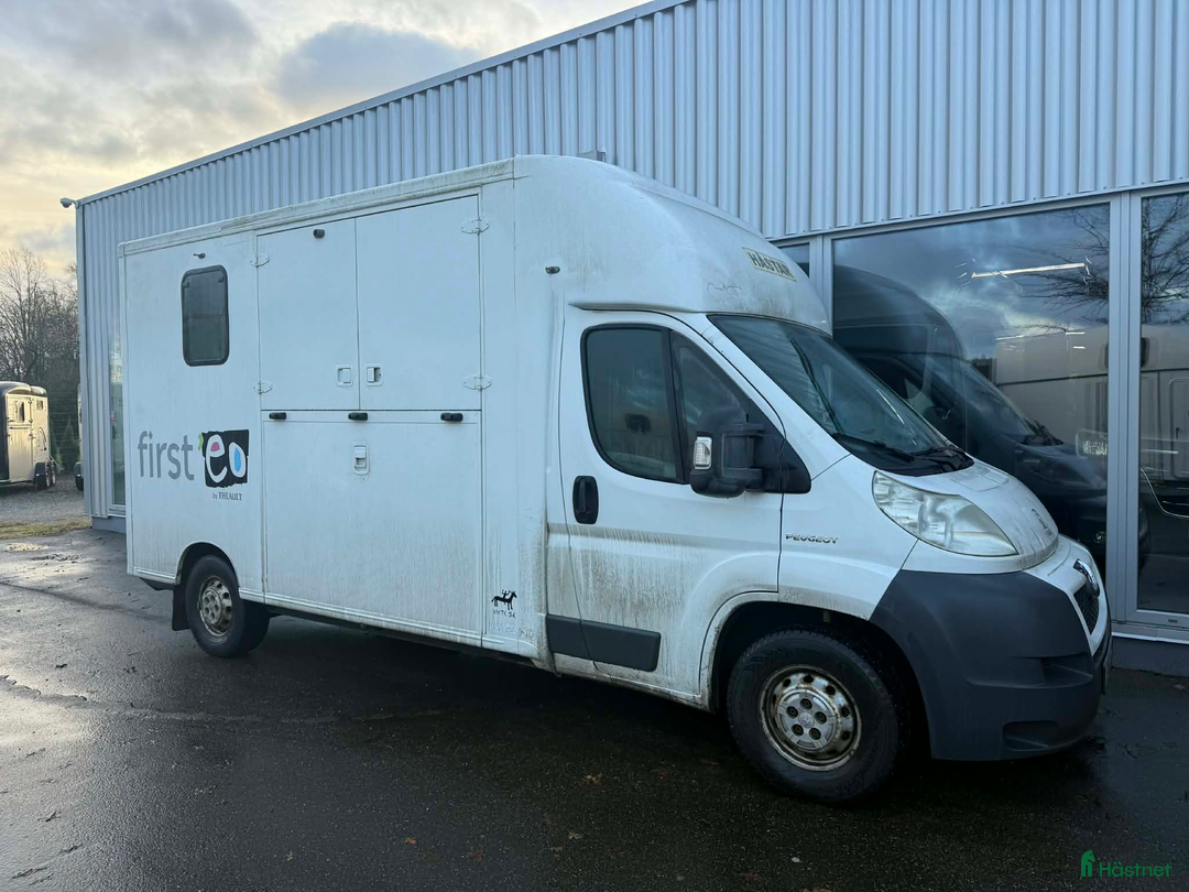 Hästlastbilar  fordon & transport till salu: Theault Firsteo med hög lastvikt!  i Köping - Annons 1
