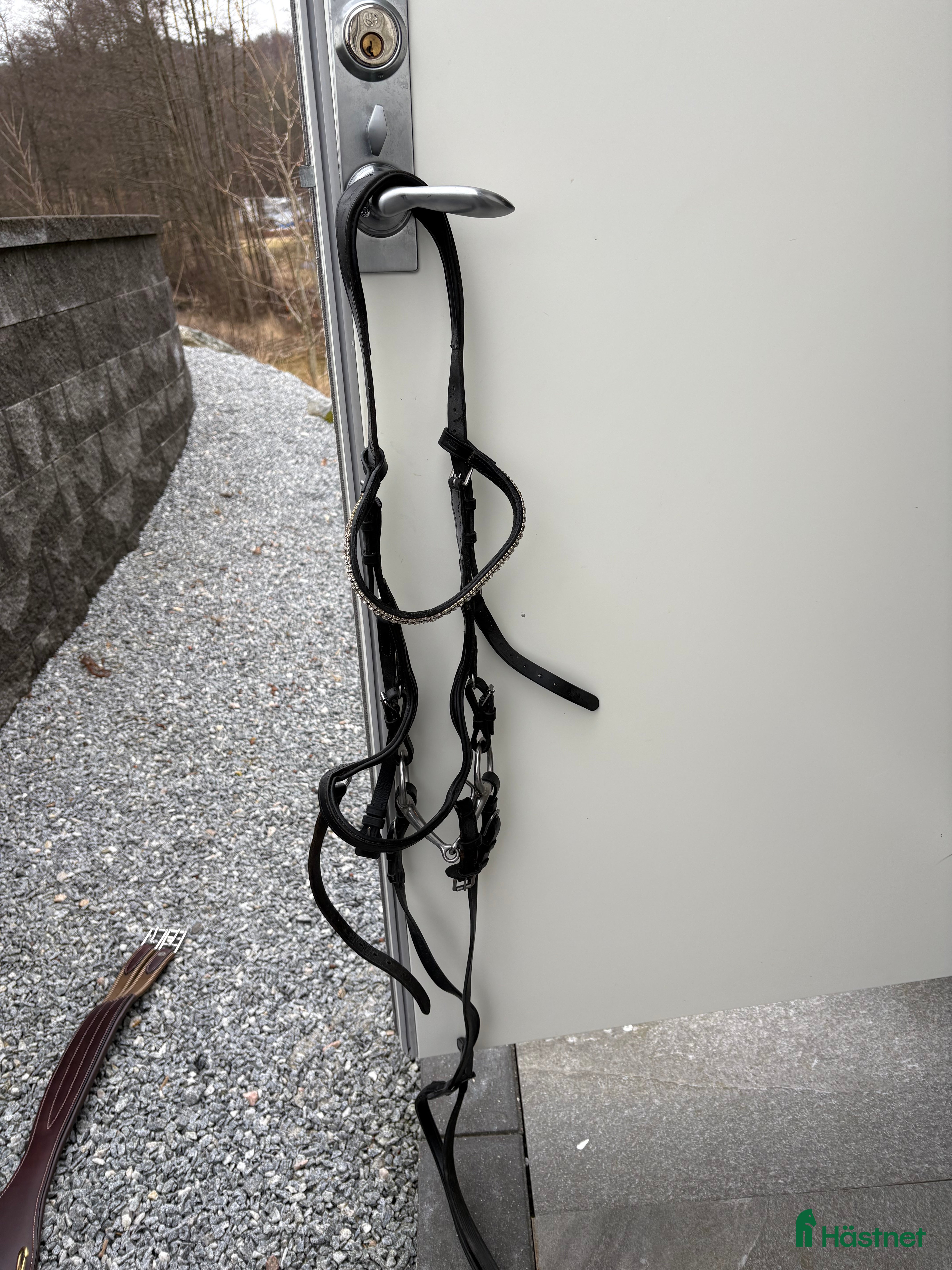 Träns hästutrustning Fint micklem träns - Annons 4