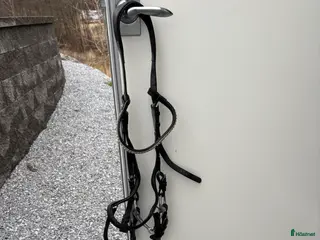 Träns hästutrustning Fint micklem träns - Annons 1