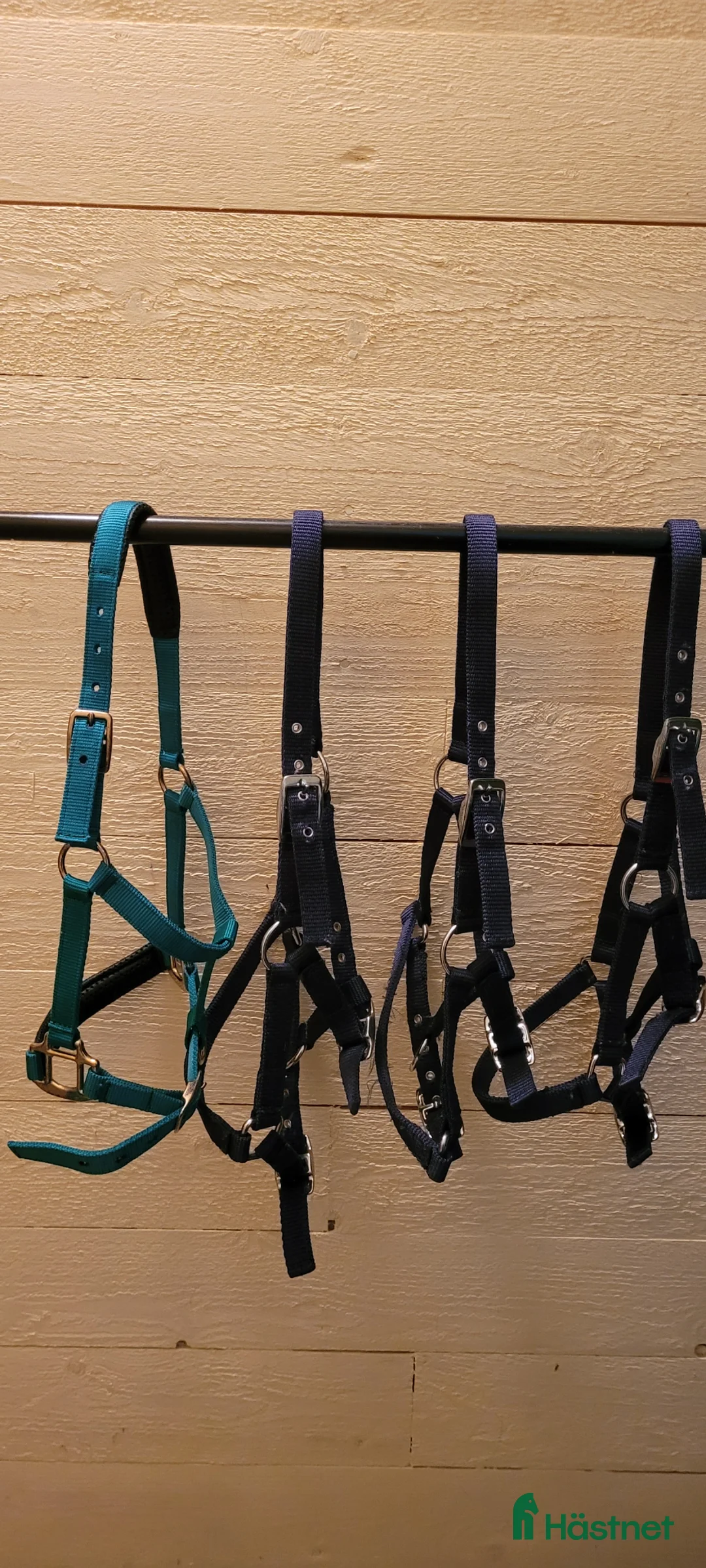 Övrig Travutrustning trav till salu: Förbygel, grimmor - Annons 2