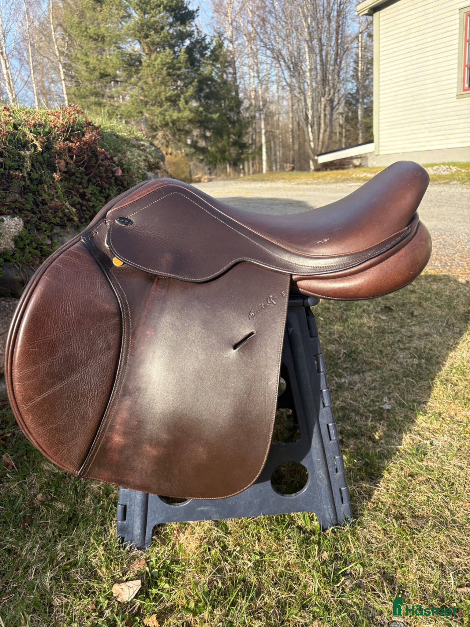 Sadlar hästutrustning Santa Cruz Celine UG - Annons 4