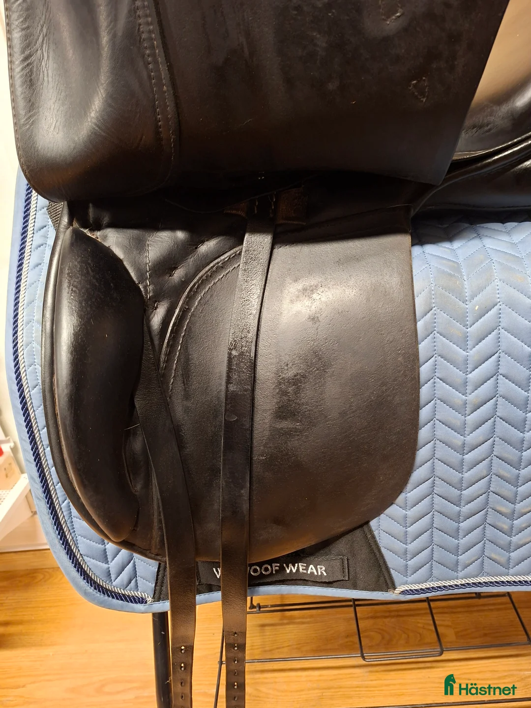 Sadlar hästutrustning till salu: Passier Corona i Hamneda - Annons 2