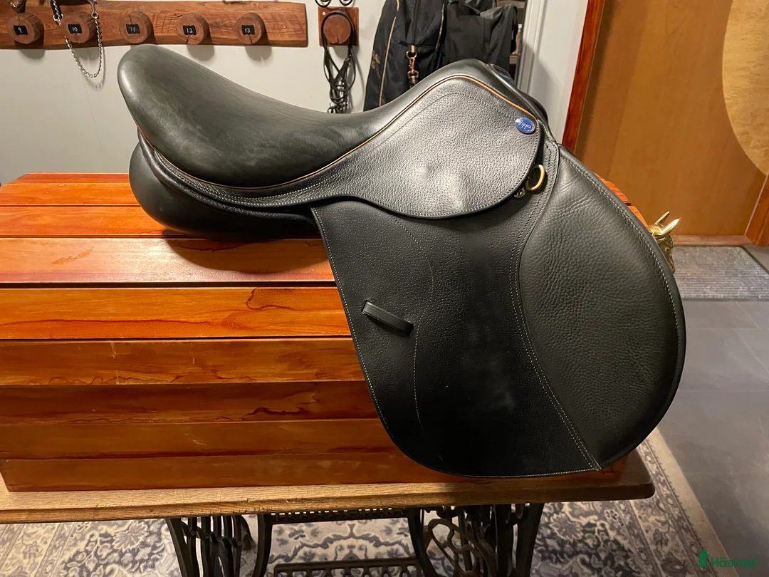 Sadlar hästutrustning till salu: Lippo Fazzino 16,5’ i Smålandsstenar - Annons 2