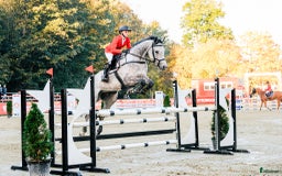 Fälttävlan hästar till salu: Fantastisk fälltävlingshast sælges✨ i Dronninglund - Annons 1