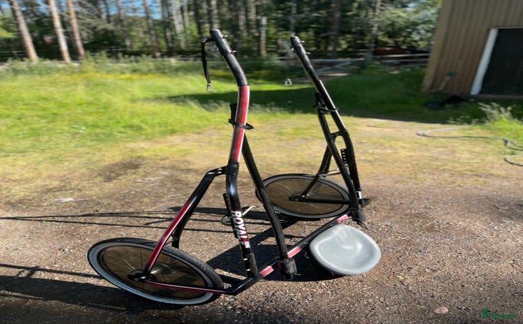 Travsulkys trav till salu i Boden - Annons 5