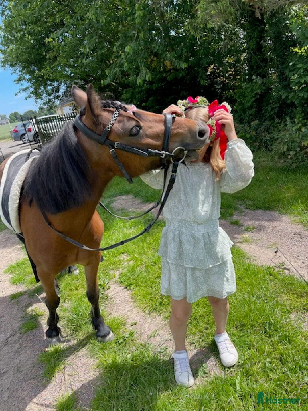 Allround hästar till salu: Bästa barnponnnyn - Annons 2