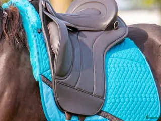 Sadlar hästutrustning Fin Edix Union - Annons 15