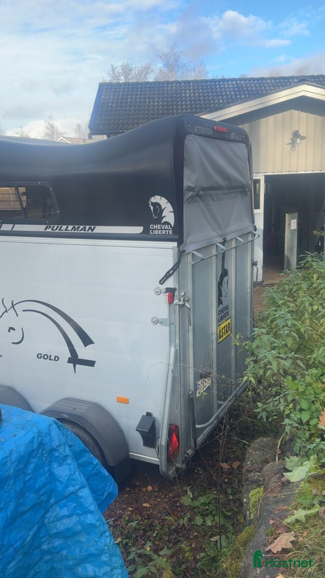 Hästtransporter  fordon & transport till salu: Hästransport i Kinnarumma - Annons 9