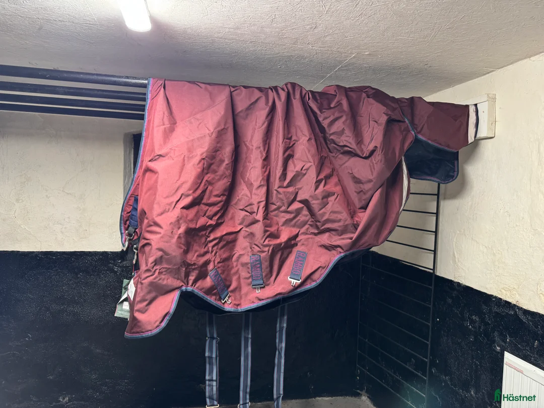 Täcken hästutrustning till salu: Rambo 0g regntäcke - Annons 2