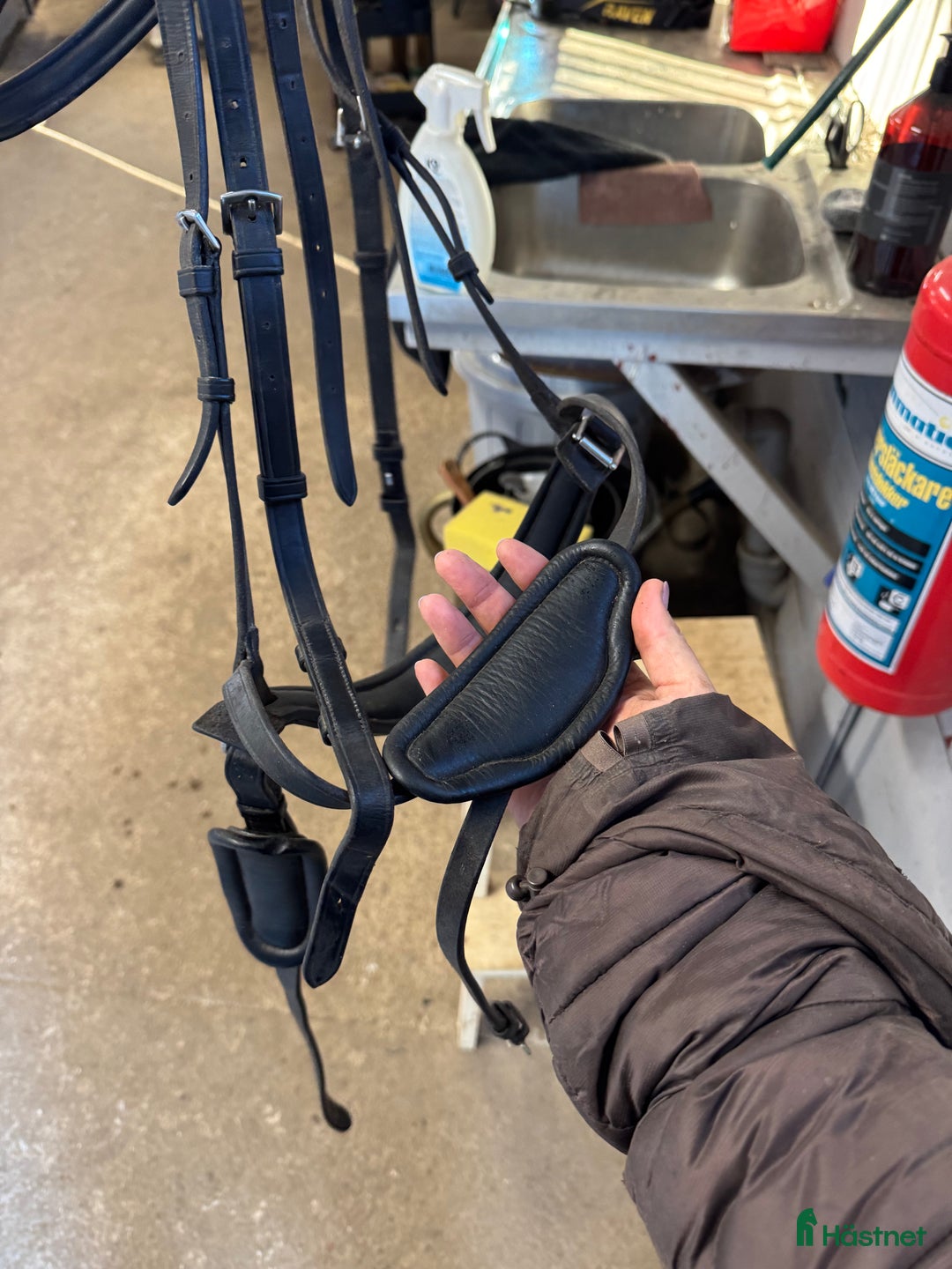 Träns hästutrustning till salu: Dyon difference träns i Lyckeby - Annons 3