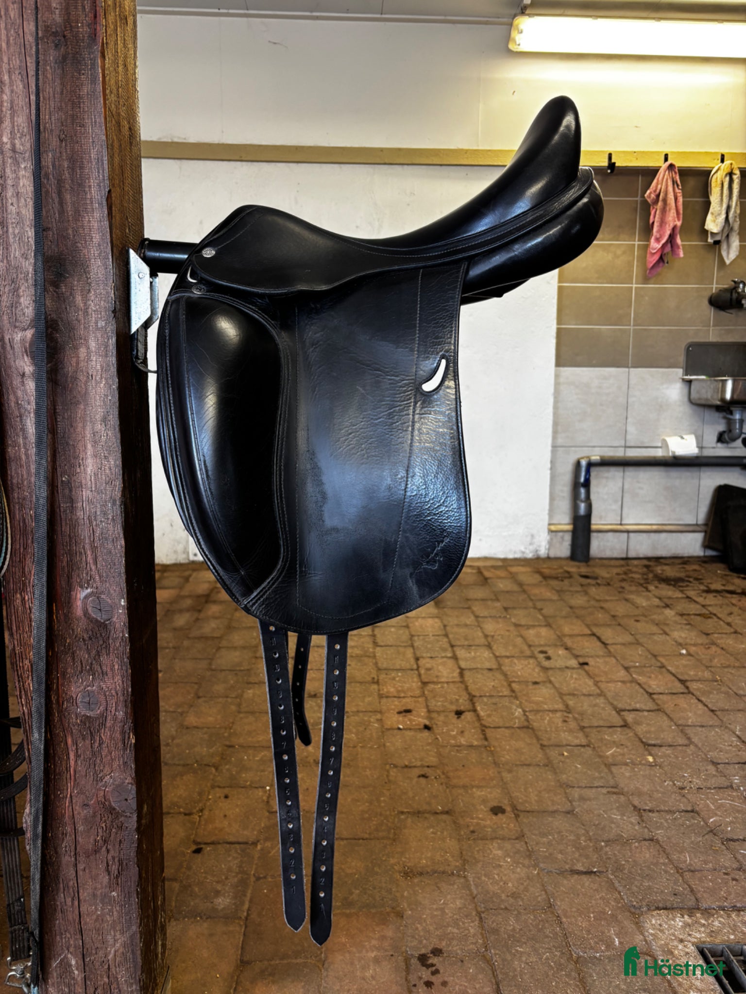 Sadlar hästutrustning Equipe Emporio - Annons 4