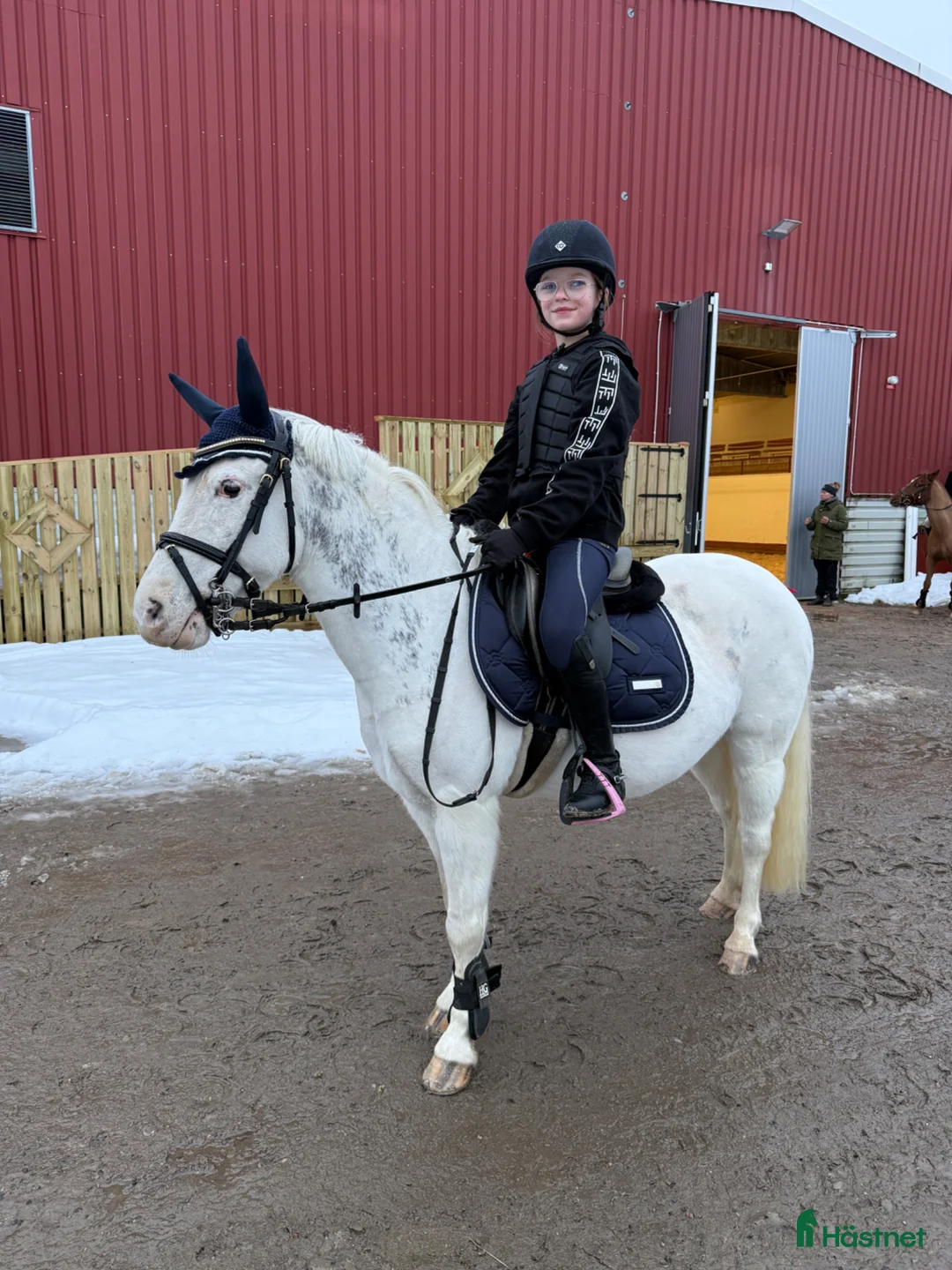 Körning hästar till salu: Inkörd allround ponny - Annons 1