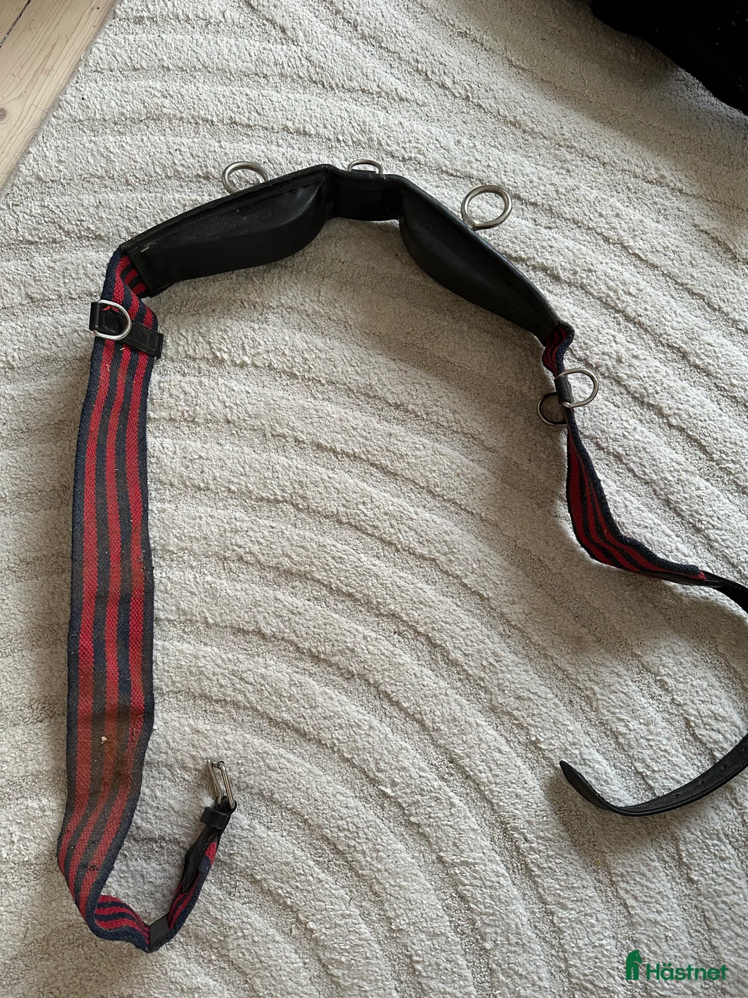 Övrig Hästutrustning hästutrustning till salu: Allt för 100 i Järfälla - Annons 3