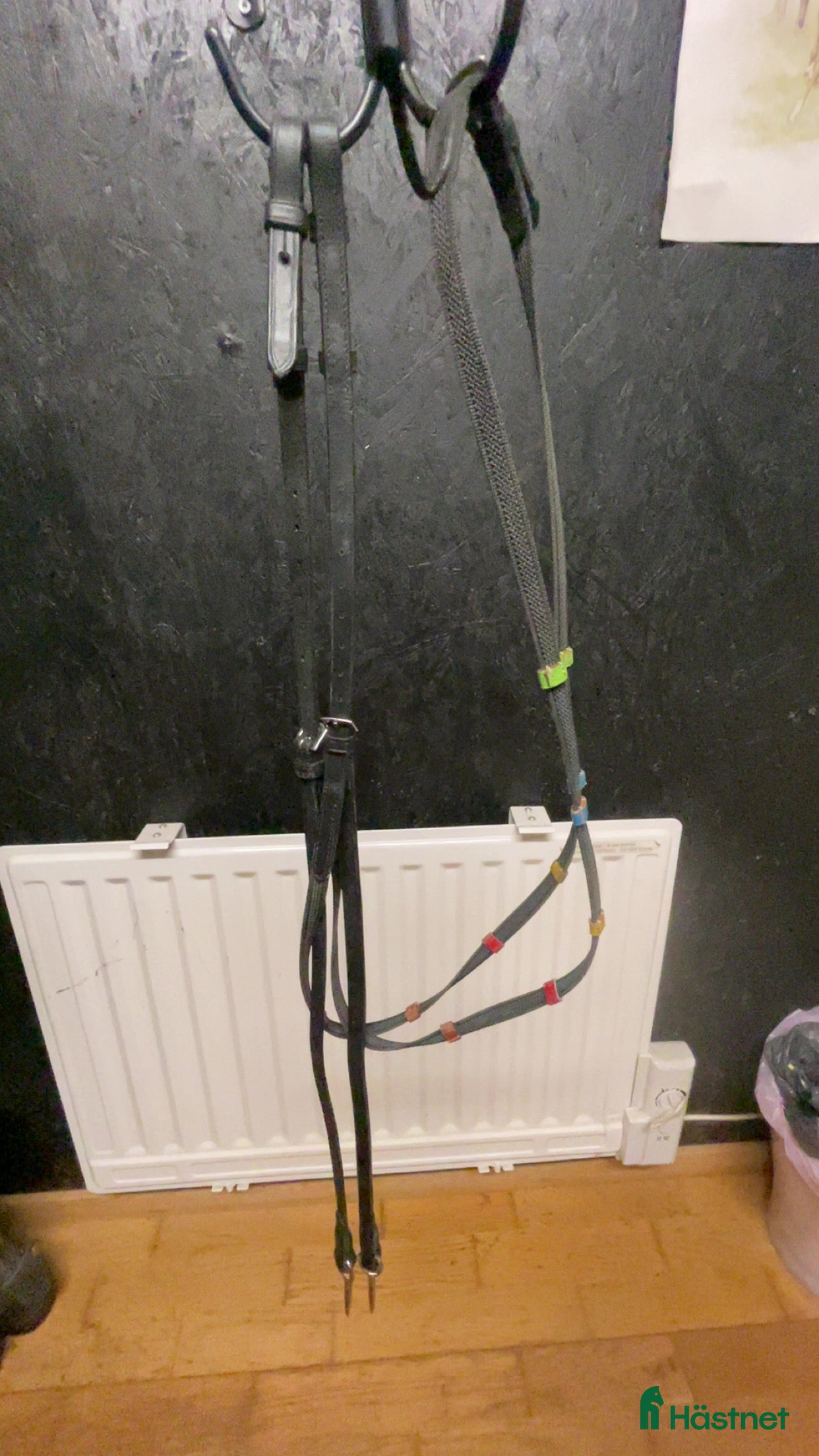 Övrig Hästutrustning hästutrustning till salu: Molly tygel i Bollebygd - Annons 12