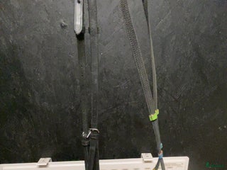 Övrig Hästutrustning hästutrustning till salu i Bollebygd - Annons 42