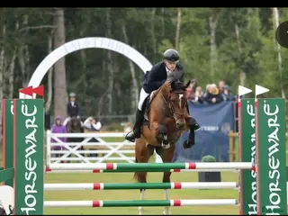 hästar Trevlig, talangfull 6-åring - Annons 5