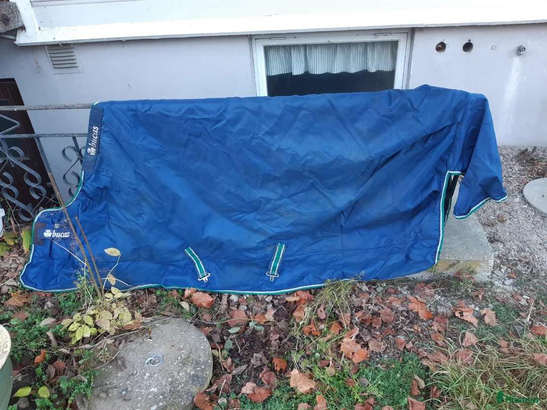 Täcken hästutrustning till salu: Bucas 135 300g+fleece - Annons 1