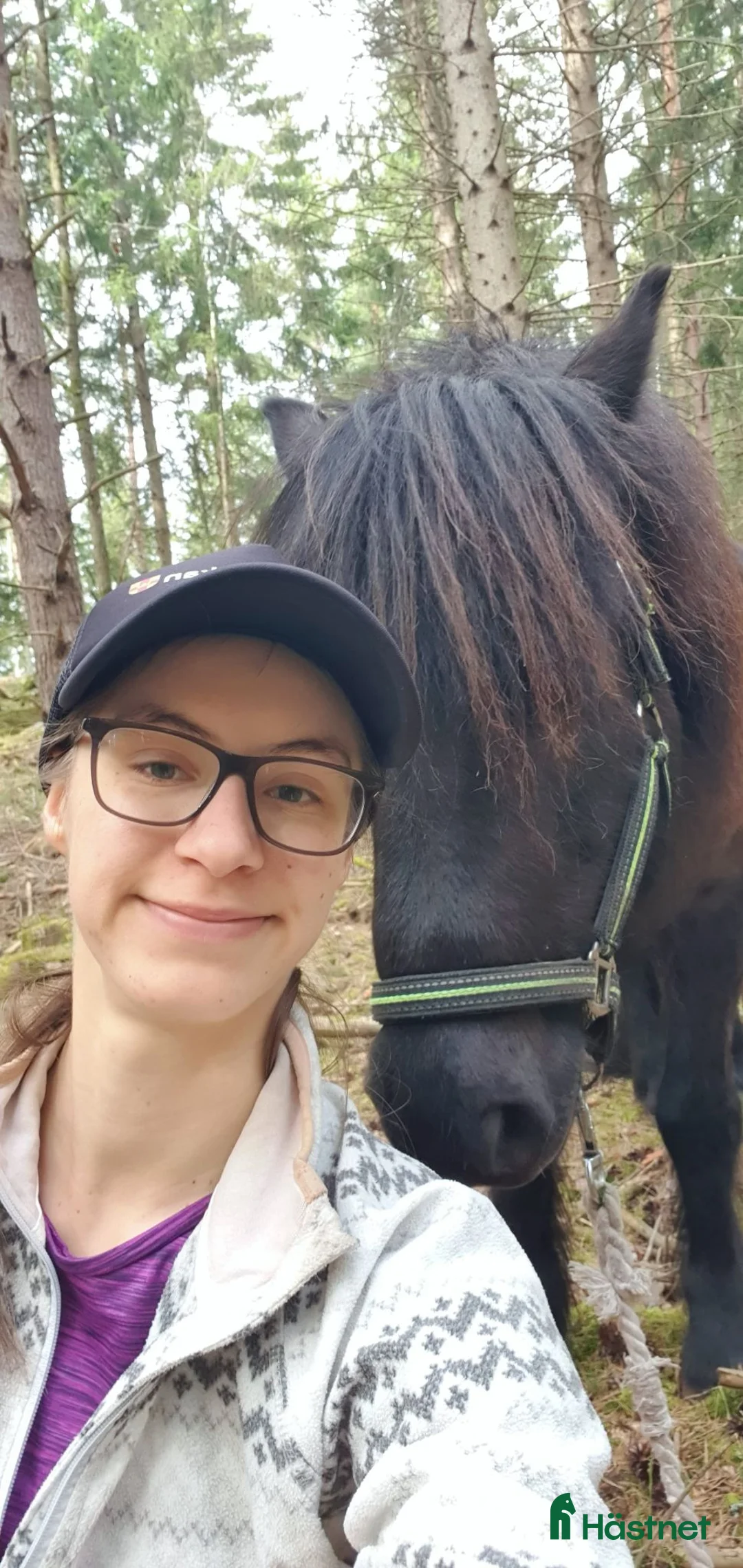  medryttarhäst finnes: Extrahjälp sökes snarast till känslig islandshäst! - Annons 2