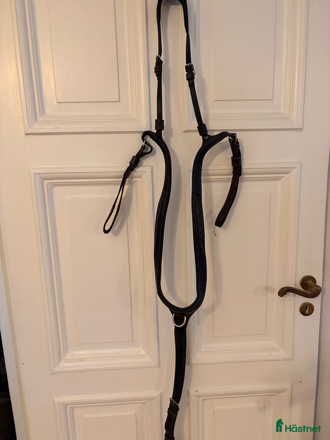 Träns hästutrustning till salu: Ps of Sweden förbygel -Tokyo  i Mölle - Annons 1