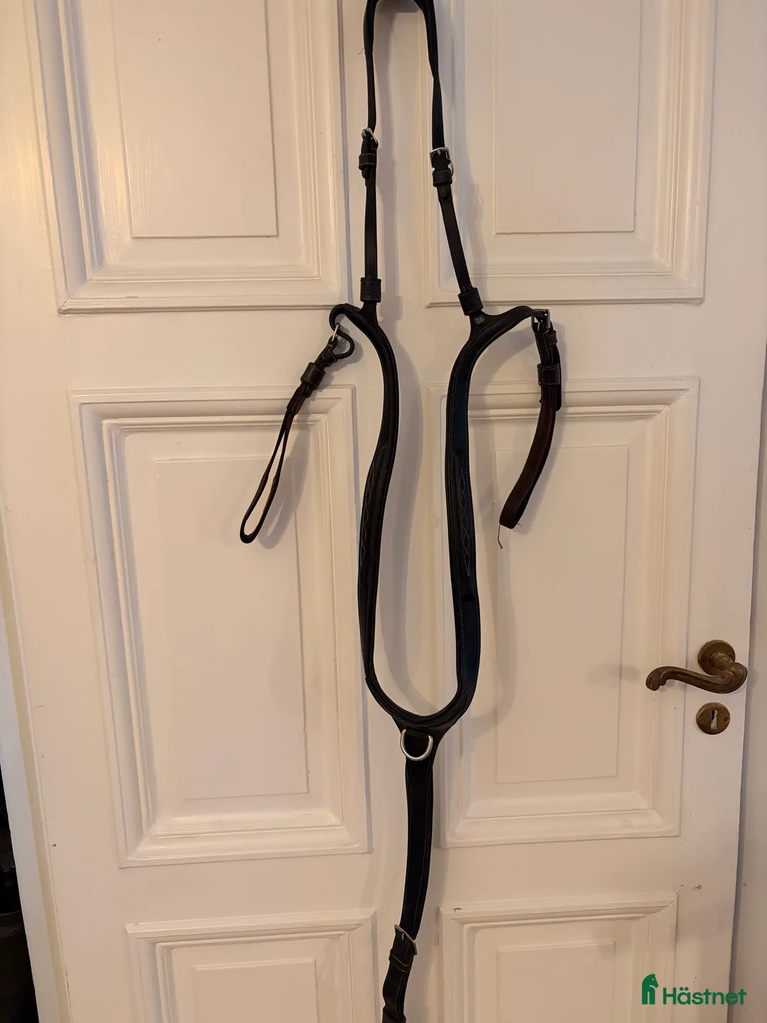 Träns hästutrustning till salu: Ps of Sweden förbygel -Tokyo  - Annons 1