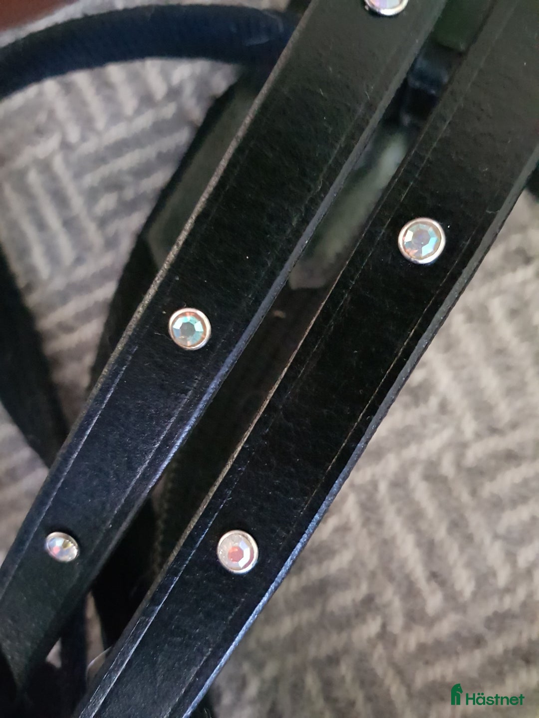 Övrig Hästutrustning hästutrustning till salu: Vävribbstygel cob i Timrå - Annons 2