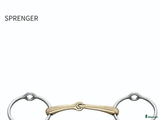 Bett hästutrustning Söker Sprenger gagbett i Ystad - Annons 2