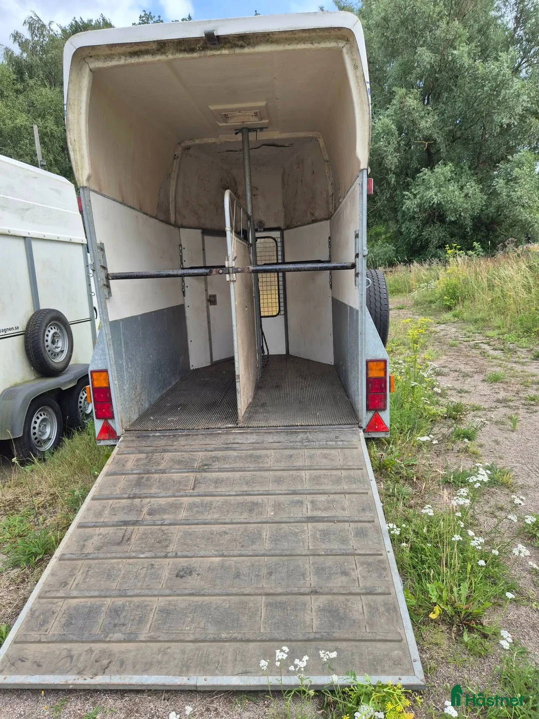 Hästtransporter  fordon & transport till salu: Star trailer Rubin  - Annons 2