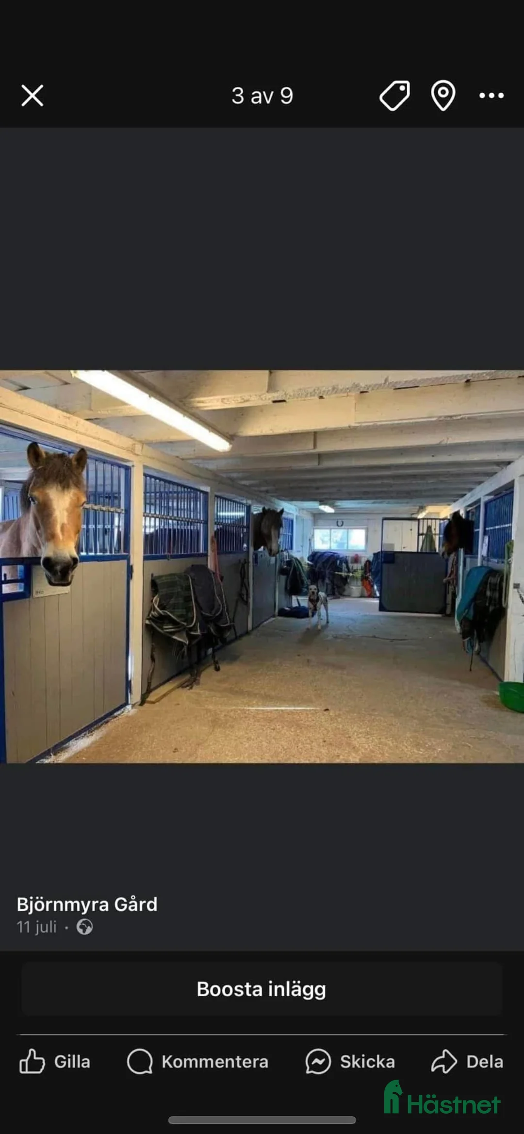  stallplats finnes: Stallplatser  i Sköldinge - Annons 1