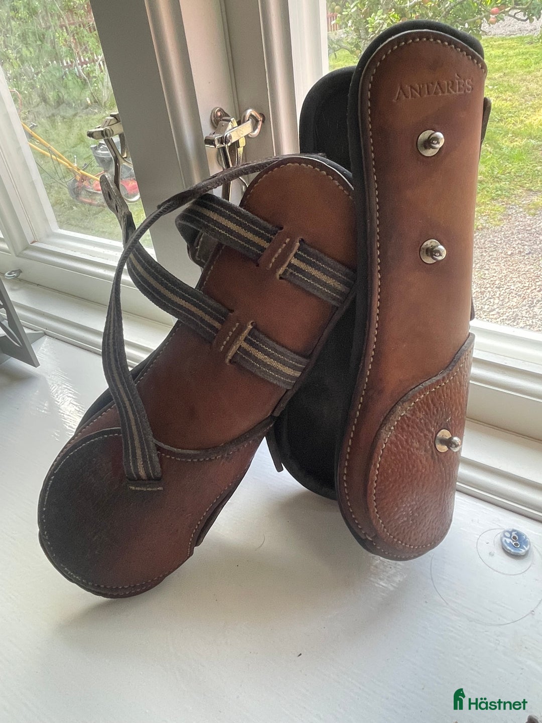 Benskydd hästutrustning till salu: Antares benskydd i Lidköping - Annons 2