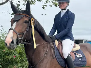 hästar Hoppstammat sto f. 2019 i Krylbo - Annons 18