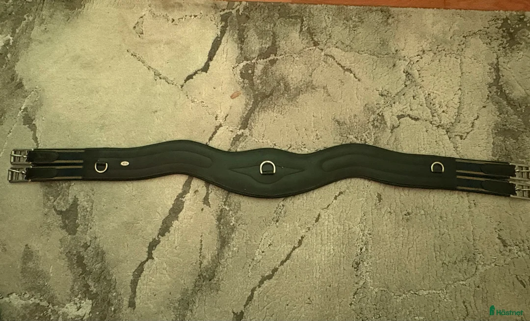 Sadeltillbehör hästutrustning till salu: Sadelgjord från equiline  - Annons 1