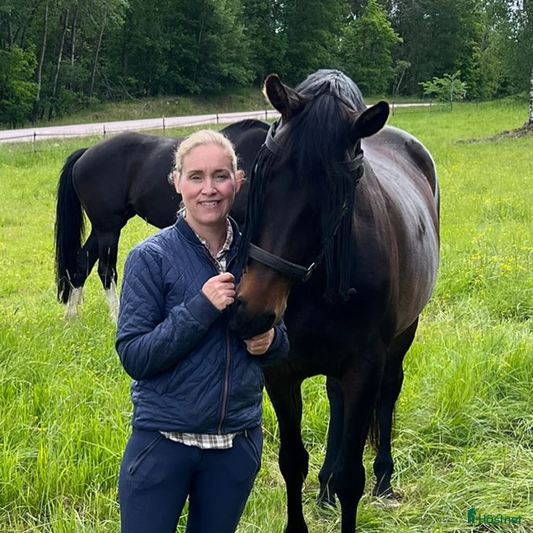 Galleribild {{count}}