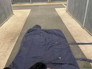 Täcken hästutrustning till salu: Hansbo stalltäcke i Helsingborg - Annons 2