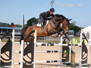 Hoppning hästar till salu: Fantastik tävlingskompis i Forsheda - Annons 1