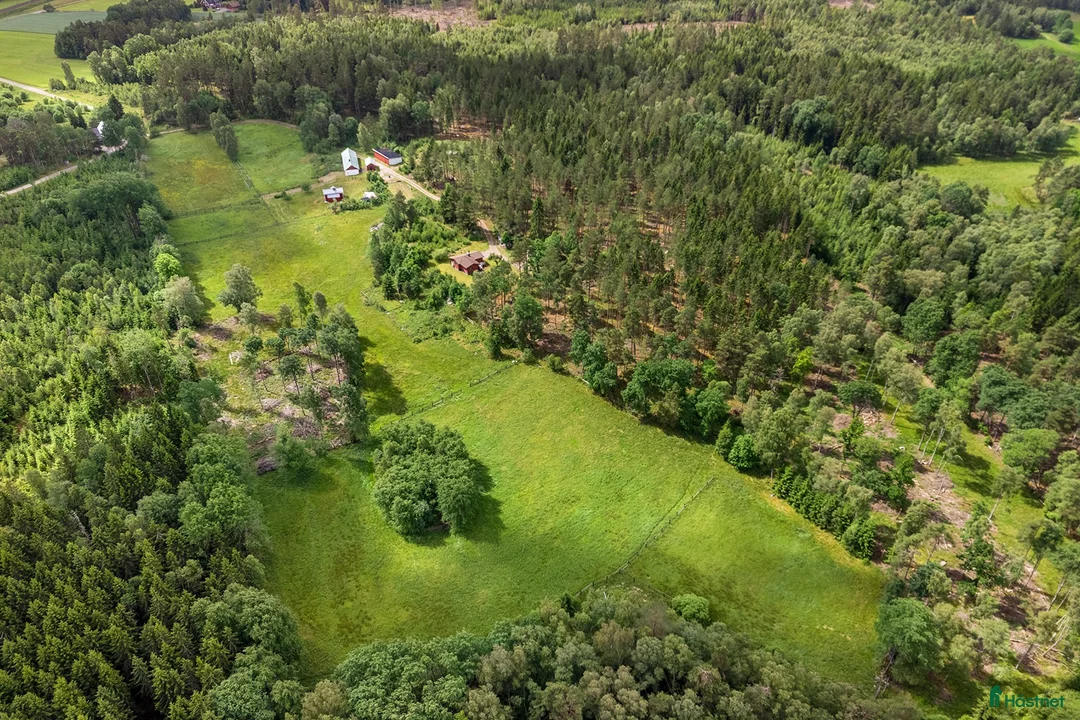  stallplats finnes: Sommarbete finnes i Vårgårda  i Vårgårda - Annons 4