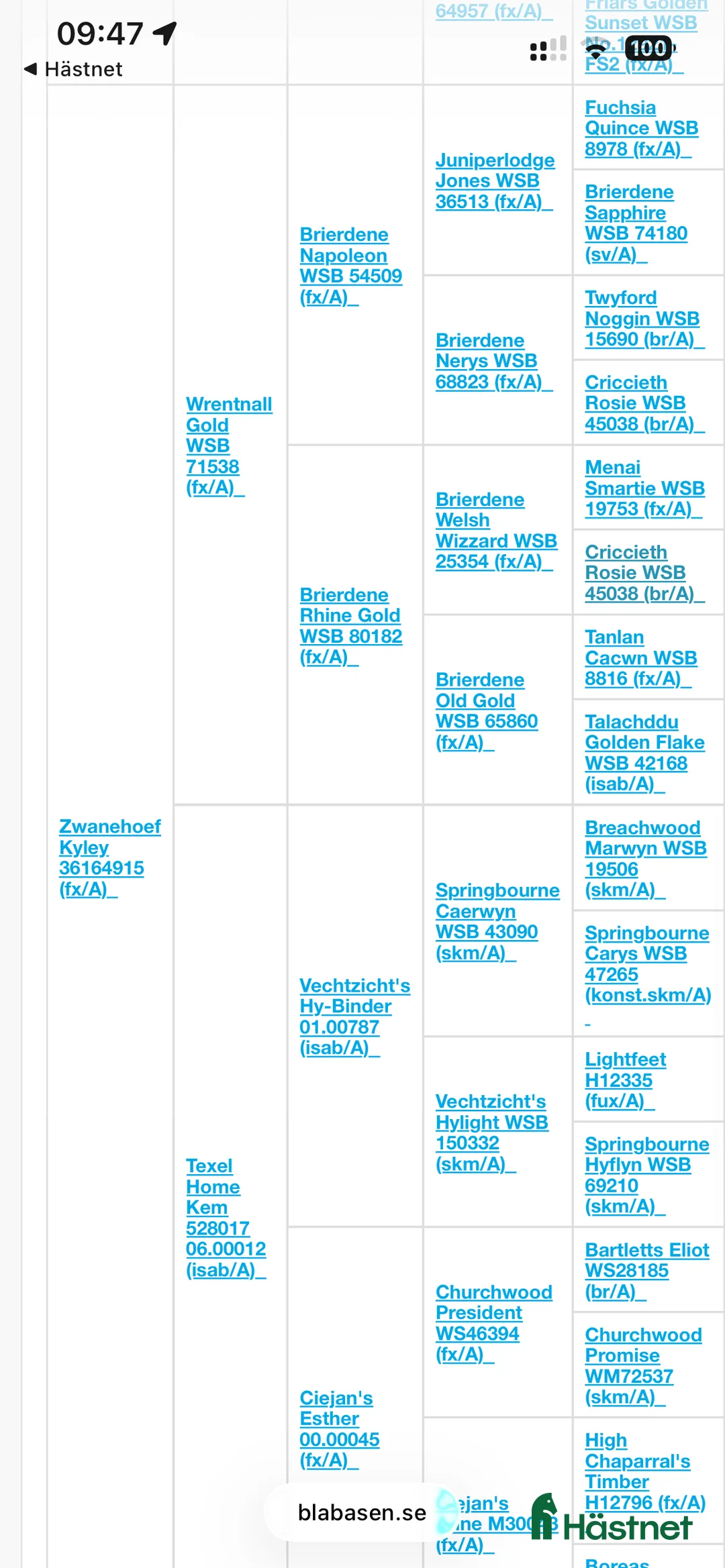 Allround hästar till salu: Sockersött Welsh Mountain sto  - Annons 10