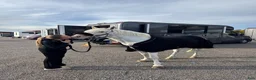 Hoppning hästar till salu: Ponny med kapacitet och hjärta - Annons 3