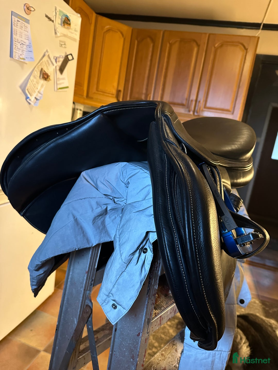 Sadlar hästutrustning till salu: IKONIC LIGHT I VÄLDIGT FINT SKICK! i Skillingaryd - Annons 8