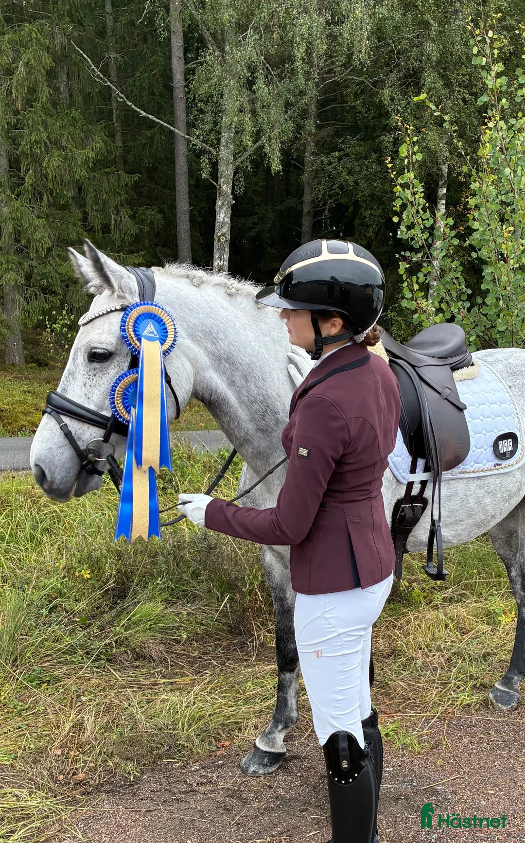 Allround hästar till salu: Snäll dponny valack🩶 - Annons 2