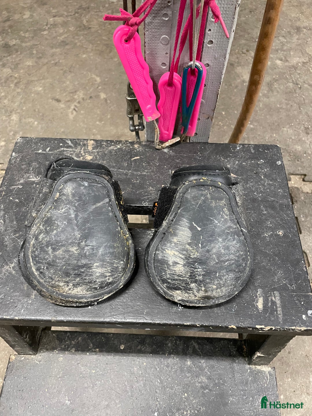 Benskydd hästutrustning till salu: Säljer bakskydd i Norrtälje - Annons 2