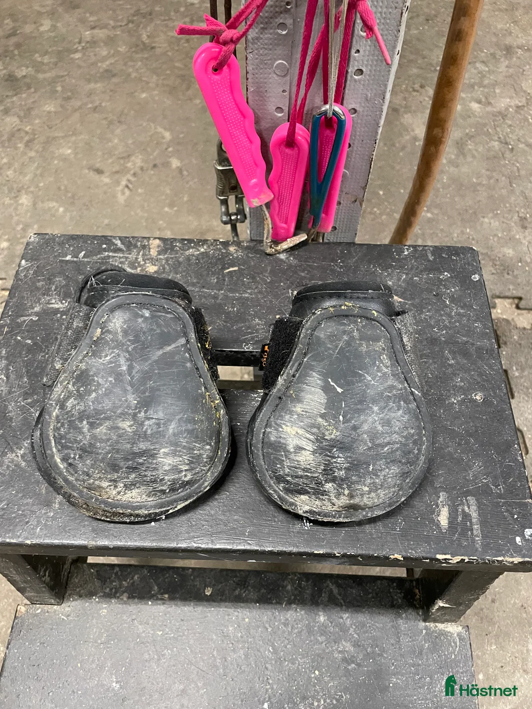 Benskydd hästutrustning till salu: Säljer bakskydd - Annons 2