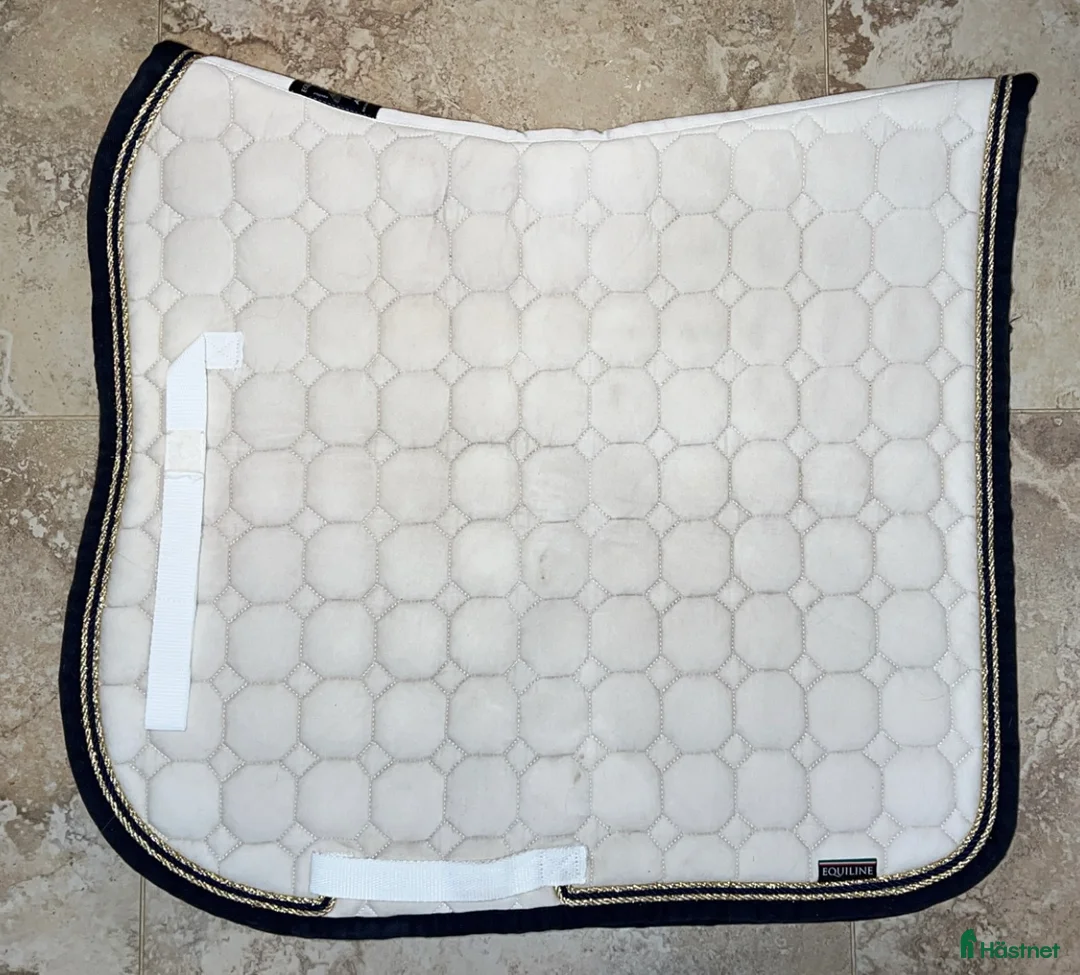 Schabrak & Vojlockar hästutrustning till salu: Equiline Octagon schabrak + lindor i Vallentuna - Annons 3