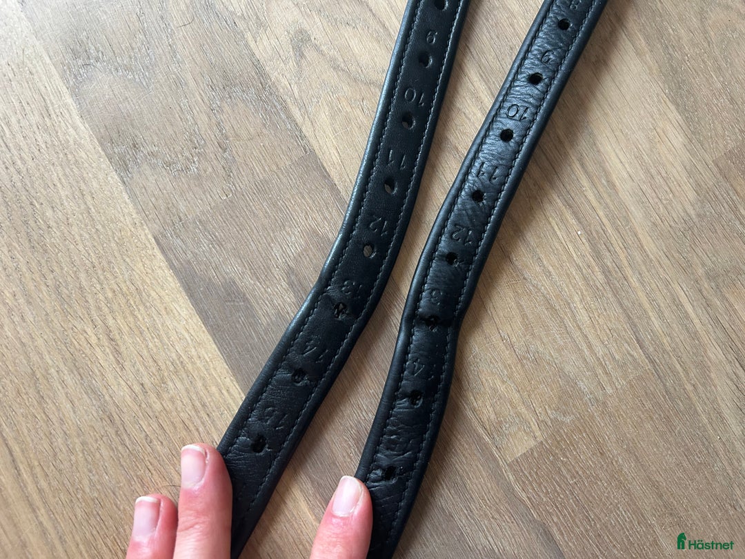 Sadeltillbehör hästutrustning till salu: Stigläder Equiline  i Täby - Annons 4