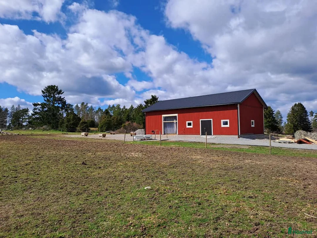  stallplats finnes: Lösdrift Häst - ung som gammal - blandflock i Bro - Annons 2