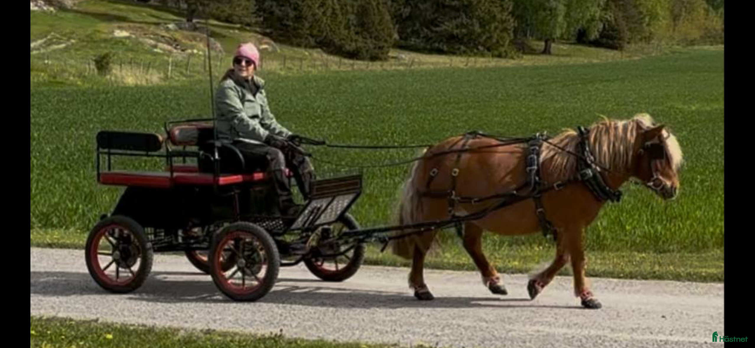 Körvagnar körning till salu: Maratonvagn i Vallentuna - Annons 12