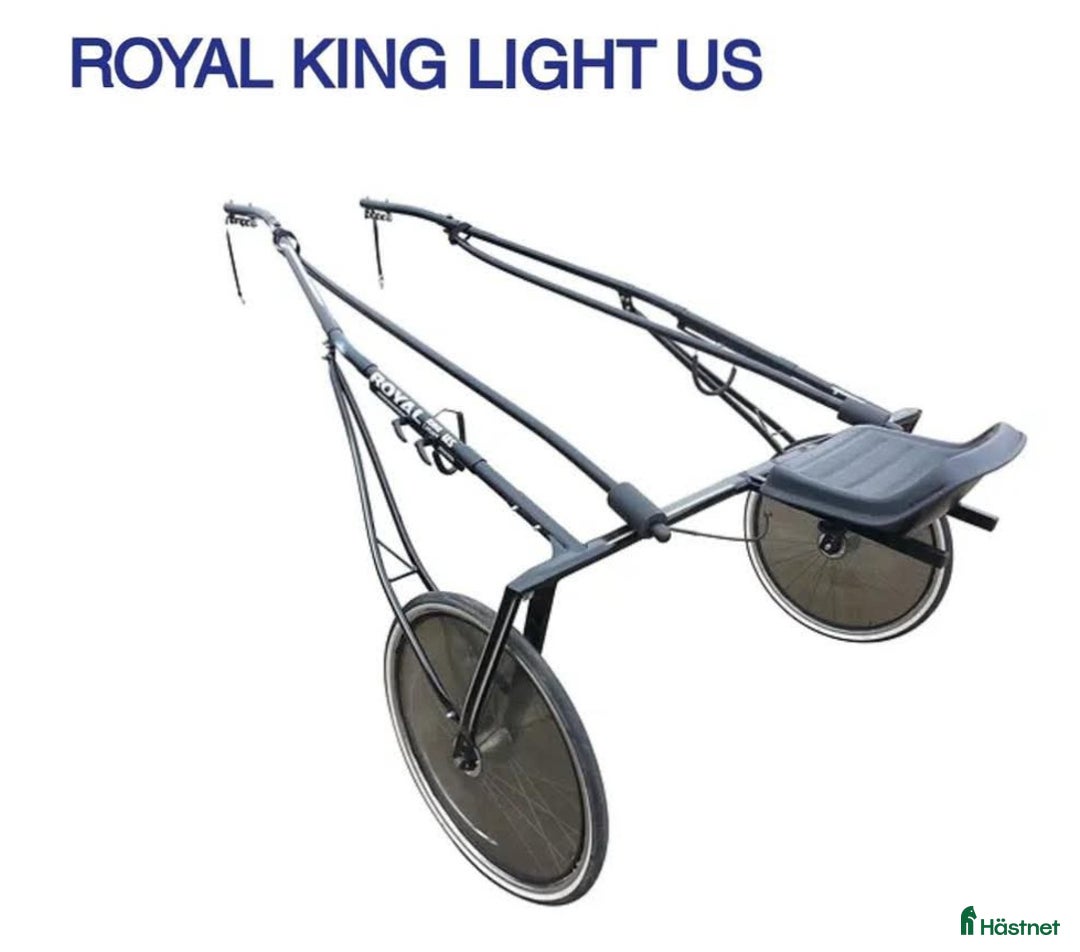 Travsulkys trav till salu: Söker! Royal King Light US  i Sidensjö - Annons 1