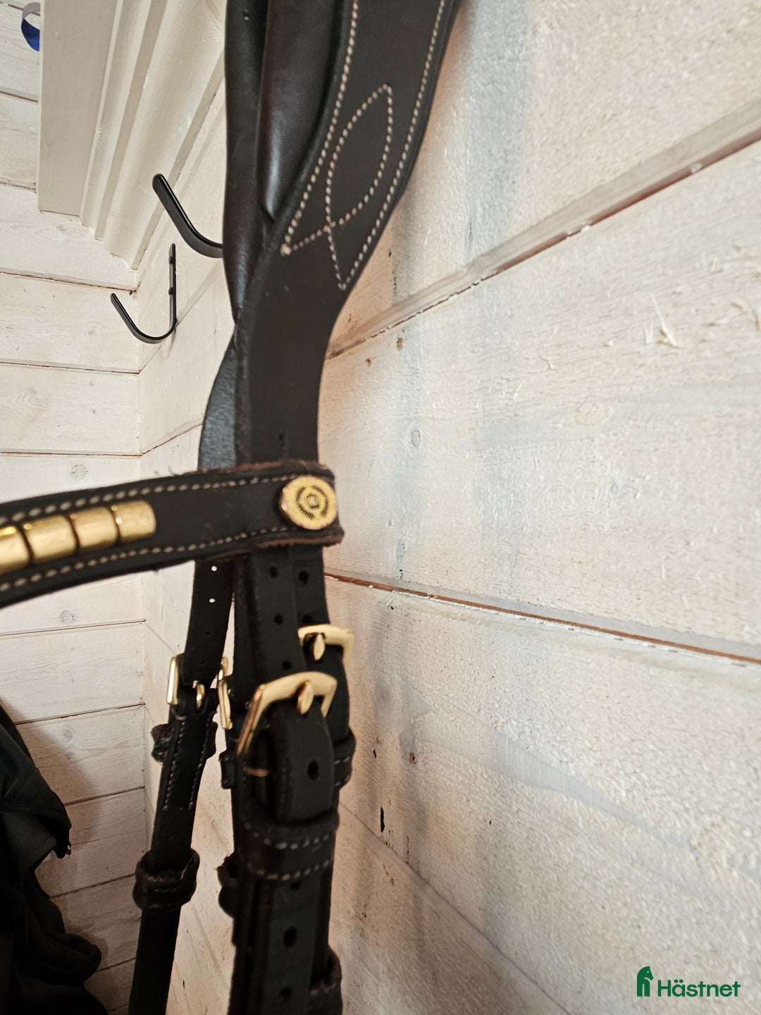 Träns hästutrustning till salu: Ps träns antwerpen i Hackås - Annons 7