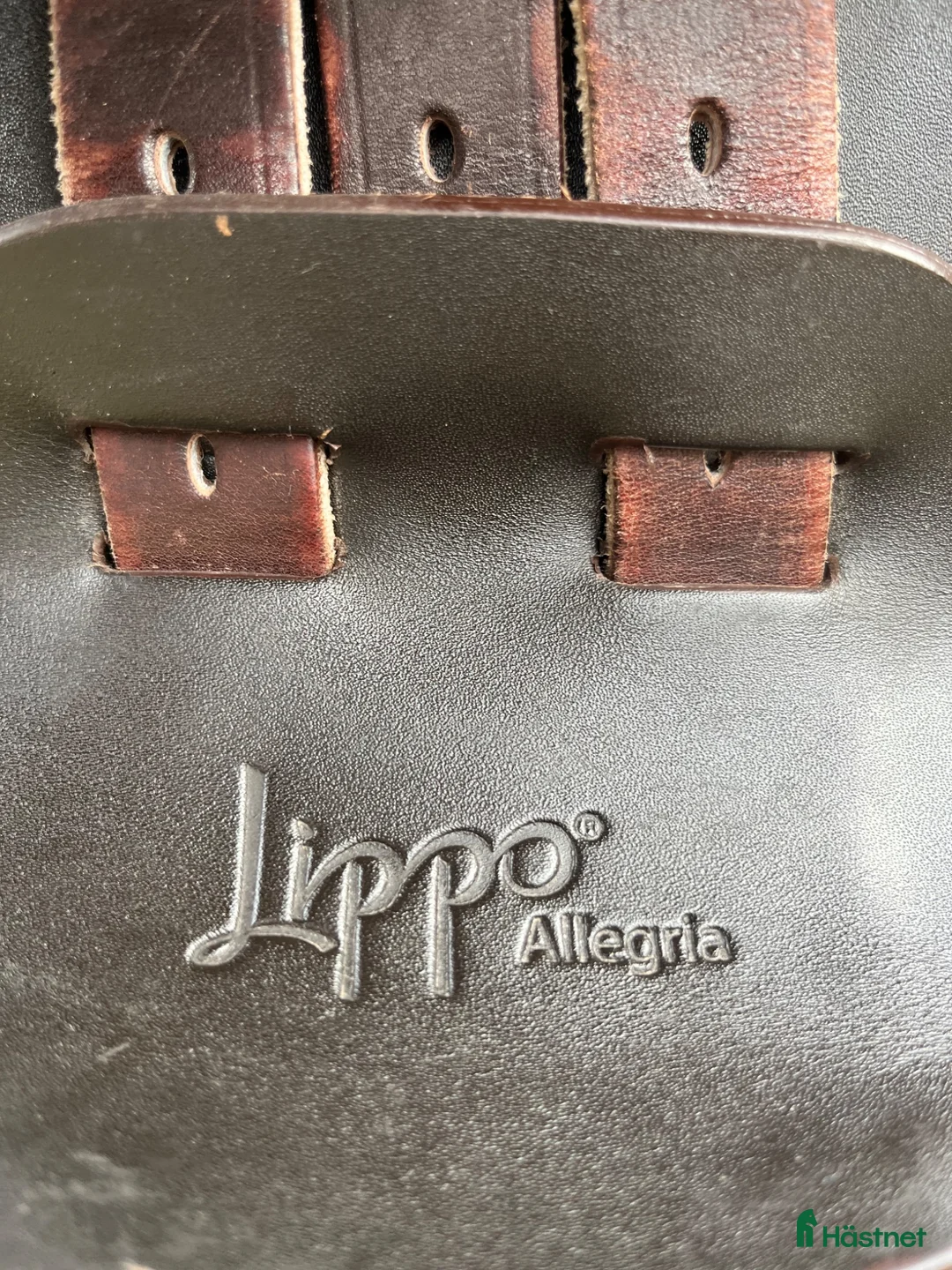 Sadlar hästutrustning till salu: Lippo Allegria allround  - Annons 6